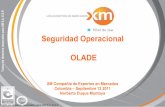 Seguridad Operacional OLADE 09 C12 Presentación... · actividad específica Proceso ... Certificación (SENA) Realizar la programación de los recursos de generación y la ... SEMANA