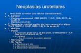 Criterios de Gradación OMS 1973 - comanes.org · Neoplasias uroteliales. Criterios de Gradación. OMS 1973 Tumores de grado 1 con el menor grado de anaplasia celular, compatible
