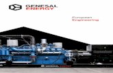 European Engineering - Genesal Energygenesalenergy.com/wp-content/uploads/2016/08/Catalogo-General-ES.… · Eje libre con dos rodamientos ... Paralelo con red Paralelo de varios.