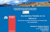 Accidentes Fatales en la Minería · Accidentes Fatales en la Minería Rol de los Comités Paritarios en Prevención ... Accidente N°6, Marzo 10, Mina Pedro de Valdivia,Minera Can