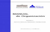 MANUAL de Organización - Instituto Temazcallitemazcalli.gob.mx/transparencia/uploads/ACTUALIZACION MANUAL... · NOM-093-SSA1-1994, Bienes y servicios practicas de Higiene y Sanidad