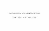 CATÁLOGO DE SEMINARIOS TELCOR, S.A. DE C.V.telcor.com.mx/ingles/catalogo.pdf · Definición de las telecomunicaciones. 1.2. La era de la información. 1.3. Cronología histórica