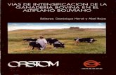 Vias de intensificacion de la ganaderia bovina en el ...horizon.documentation.ird.fr/exl-doc/pleins_textes/divers12-05/... · El sistema tradicional de produccion de carne bovina