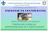 “Lis de Veracruz: Arte, Ciencia, Luz” FACULTAD DE … · El 100% de los integrantes de nuestro grupo académico de ... dentales para restauración y adhesión dental composición,