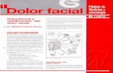 Importancia clasificación del dolor facial - barcelona.dental · el de otras panes del cuerpo, El dolor de cabeza, de la cara, de la boca y del cuello tiene un significado especialmente