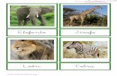 Elefante Jirafa - mimontessori.files.wordpress.com ·  Elefante Jirafa León Cebra .  Camello Rinoceronte Hipopótamo Okapi .  Mandril Mandril