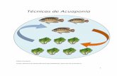 Técnicas de Acuaponia - agroindustria.gob.ar · puede repercutir de forma incremental en la pesca de especies para estos fines); y la necesidad de tratamientos de efluentes de las