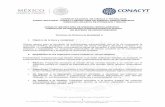 CONSEJO NACIONAL DE CIENCIA Y TECNOLOGÍA … · 2.1.8 Tres cartas de recomendación en el Formato de Carta de Recomendación (versión en español) o (versión en inglés) diseñado
