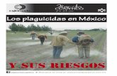 Suplemento Científico de La Jornada Veracruz i Domingo 5 de abril de … · 2015-04-05 · ... respeto y prestigio, en defensa de las culturas prehispánicas y mesoamericanas, así