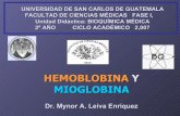 Hemoglobina y Mioglobina - BIOQUÍMICA. Dr. Mynor … · Hemoglobina y Mioglobina Objetivos de aprendizaje 1– Explicar la estructura y función de la hemoglobina y mioglobina. 2–