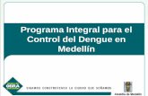 Programa Integral para el Control del Dengue en Medellínmaster2000.net/recursos/fotos/271/proyectos/Dengue.pdf · Ciclo de vida de Aedes aegypti Pupas. Emergencia del adulto. Organización