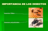 IMPORTANCIA DE LOS INSECTOS - José Angel … · otros beneficios de los insectos •insectos que se alimentan de materiales en descomposicion •beneficios en el suelo •indicadores