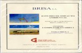 · BRISA S.A. Puerto Multipropósito Brisa - Dibulla, Guajra Estudio de Impacto Ambienta/ Informe complementario 2 TABLAS Tabla 1. Tabla 2 Tabla 3.