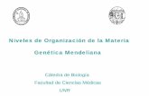 Niveles de Organización de la Materia Genética … · Niveles de Organización de la Materia Genética Mendeliana Cátedra de Biología Facultad de Ciencias Médicas UNR. Los niveles
