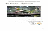 Manual de buenas prácticas de EAZA traducido por …€¦ · Traducción revisada por Martín Zordan (ALPZA) y M.V.Z. Ricardo Chiriboga (Zoológico El ... iris de las aves inmaduras