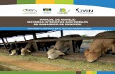 MANUAL DE MANEJO SISTEMAS INTENSIVOS SOSTENIBLES DE ...unaforchorotega.org/wp-content/uploads/2018/01/Manual-de-manejo... · Al ser la ganadería un sistema de producción complejo,