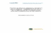 ESTUDIO DE IMPACTO AMBIENTAL DEFINITIVO DE LA LÍNEA DE ... · El Plan de Expansión de Transmisión 2010–2020 de la Corporación Eléctrica del Ecuador - ... INSTRUMENTO LEGAL