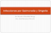 Infecciones por Salmonella y Shigella - medicina-ucr.commedicina-ucr.com/tercero/wp-content/uploads/2015/07/EI11-Bacterias... · Vía oral-fecal Contacto persona ... Generalmente