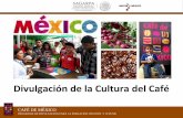 Divulgación de la Cultura del Café - ico.org · infantil y juvenil de la República Mexicana. ... exposiciones, ferias, campañas, parques, ámbitos comunitarios, ... Organismo