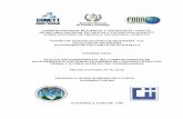 CONSEJO NACIONAL DE CIENCIA Y TECNOLOGIA …glifos.concyt.gob.gt/digital/fodecyt/fodecyt 2003.05.pdf · CENTRO DE INVESTIGACIONES DE INGENIERÍA –CII- FACULTAD DE INGENIERÍA ...