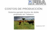SONDEO DE COSTOS DE PRODUCCIÓN - fira.gob.mxfira.gob.mx/Nd/GANADO_BOVINO_DOBLE_PROPOSITO... · Costos de producción de cultivos forrajeros y mantenimiento de la superficie de praderas