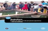 Acuicultura - fao-ilo.org · del Departamento de Pesca y Acuicultura de la FAO, del Departamento Económico ... La disponibilidad de agua de alta calidad es el recurso más significativo
