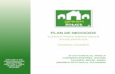 PLAN DE NEGOCIOSapi.eoi.es/api_v1_dev.php/fedora/asset/eoi:80104/EOI_GreenHome... · plan de negocios casas prefabricadas ecolÓgicas ... organigrama de la empresa. 88 2. ... cuentas
