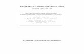 UNIVERSIDAD AUTONOMA METROPOLITANA …148.206.53.84/tesiuami/UAMI10236.pdf · 3.1 Estrategia del algoritmo de ramificación y acotamiento utilizados en el Ejemplo