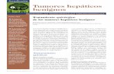 Tumores hepáticos benignos - AEEHaeeh.es/wp-content/uploads/2012/05/v8n1a520pdf001.pdf · 24 GH CONTINUADA. eNerO-febrerO 2009. VOl. 8 N.º 1 Tumores hepáticos benignos Tratamiento