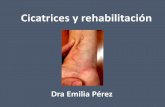 Cicatrices y rehabilitación - academia.cat · capsulitis retráctil TN en la cicatriz y segmento hombro fisioterapia y DLM . ... infiltración tn cicatriz, intrarticular con homeopatia