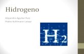 Alejandro Aguilar Ruiz Pedro Kuhlmann Latapidepa.fquim.unam.mx/amyd/archivero/HIDROGENO_25517.pdf · Aplicaciones y usos convencionales del hidrógeno . 1. ... Descubridor del Hidrogeno