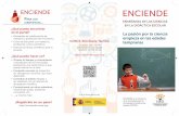 PARA LOS CIENTÍFICOS EN LA DIDÁCTICA …enciende.cosce.org/pdf/enciende_triptico_en_alta.pdf · a estudiantes de mi comunidad, ... otros maestros y con el resto de la comunidad