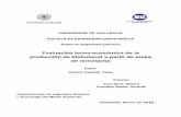 Evaluación tecno-económica de la producción de …uvadoc.uva.es/bitstream/10324/18561/1/TFG-I-440.pdf · UNIVERSIDAD DE VALLADOLID ESCUELA DE INGENIERIAS INDUSTRIALES Grado en