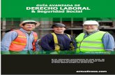 G AVANZADA DE Y S - Asesorías Jurídicas y Contables.juricontable.com/archivos_/derecho laboral seguridad social 2010.pdf · trabajadores de dirección manejo y confianza, y a la