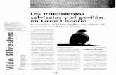 Los tratamientos selvícolas y el gavilán en Gran Canaria · Francisco Negrín. 18 canario, que la recolonizacií>n de aves dadas por extinguidas puede tener lugar regeneran- do