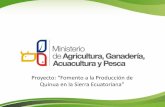 Proyecto: “Fomento a la Producción de Quinua en la …portal.uasb.edu.ec/UserFiles/385/File/Guillermo Tapia.pdf · Proyección de la Demanda Proyectada y Producción de Quinua