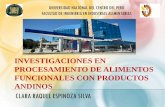 INVESTIGACIONES EN PROCESAMIENTO DE …repositorio.concytec.gob.pe/bitstream/CONCYTEC/50/9/11_Investigaci... · procesamiento de alimentos funcionales con productos andinos clara