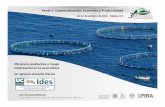 Panel 5: Comercialización, Economía y Productividad · de España Sistema de gestión pesquera y acuícola basado en ... Selección de la localización ... La incertidumbreafecta