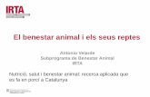 Antonio Velarde Subprograma de Benestar Animal IRTA · Ausencia de lesiones producidas por el manejos Expresión de otros comportamientos Expresión del comportamiento social Buena