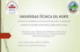 UNIVERSIDAD TÉCNICA DEL NORTE - …repositorio.utn.edu.ec/bitstream/123456789/4482/3/03 REC 197... · Planificación y Desarrollo del Ecuador (Obj 1, 3, 4, 7) ... Geología a) L