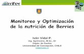 Monitoreo y Optimización de la nutrición de Berries berries mex 2017.pdf · Universidad de Concepción, CHILE ividal@udec.cl . Manejo de berries •Para solucionar los problemas