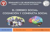 EL CEREBRO SOCIAL: COGNICIÓN Y CONDUCTA SOCIAL · seminario ii de neurofisiologÍa cÁtedra i –prof. titular dr. aldo ferreres lic. samanta leiva el cerebro social: cogniciÓn