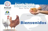 Genética Para Una Producción Eficiente de Huevos - …avicol.co/descargas2/GeneticaProduccionEficienteHuevos.pdf · enriquecidos y sin jaula) ... Sobrevivencia de pollitas y aves