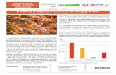 El cultivo de la tilapia roja (Orechromis sp.) en ...€¦ · Del total de la producción acuícola lograda en el año 2011, las actividades piscícolas correspondientes al culti-vo