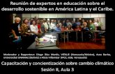 Reunión de expertos en educación sobre el desarrollo ...earthcharter.org/invent/images/uploads/Sesion II Grupo 1 Diego Diaz... · juventud y ancianos que también son los educadores