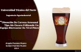 Obtención De Cerveza Artesanal Tipo Ale Oscura …repositorio.utn.edu.ec/bitstream/123456789/4089/3/03 EIA 356... · consumo y la creación de microempresas, exaltando el espíritu