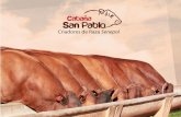Criadores de Raza Senepol - cabanasanpablo.comcabanasanpablo.com/docs/Brochure Cabaña San Pablo.pdf · precocidad sexual, así como un destete de animales pesados. Cabaña San Pablo