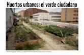 Fuente: fotografía cedida por la Red de Huertos …€¦ · tatics/Manual_Huerto_urbano_Ecologico_Madrid.pdf - Los huertos han estado históricamente asociados a ... en los períodos