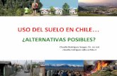 USO DEL SUELO EN CHILE - chile21.cl · rentabilidad económica de los suelos – Se legitima el paso desde el ideal del bien común a la maximización de la rentabilidad económica,