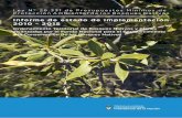Informe de estado de implementación 2010 - 2015leydebosques.org.ar/zips/informesoficiales/Informe de... · Evolución de la deforestación ... Ordenamiento Territorial de los Bosques